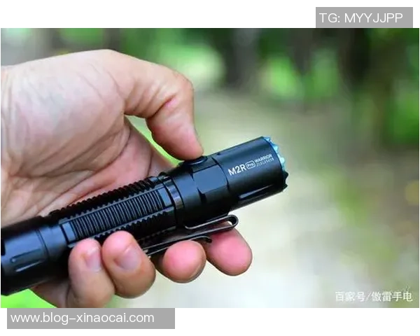 CSGO巨献：深入解析JDG战队的强大实力与战术魅力